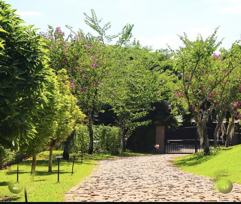 Entrada pavimentada cercada por árvores e vegetação florida