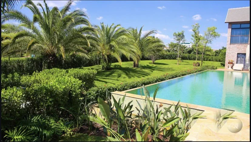 A mesma piscina com jardim tropical formado, palmeiras e gramado ao redor